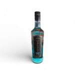 GALAXY VODKA EXOTICS FRUITS X 750 CC
